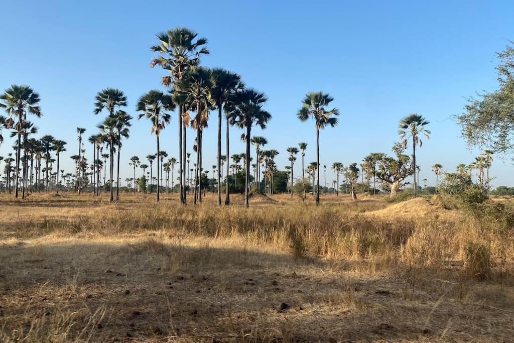 Case Beach Ngalou Sessene المظهر الخارجي الصورة